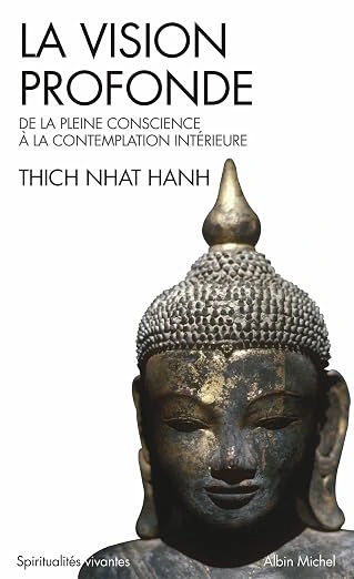 La vision Profonde : de la pleine conscience à la contemplation intérieure